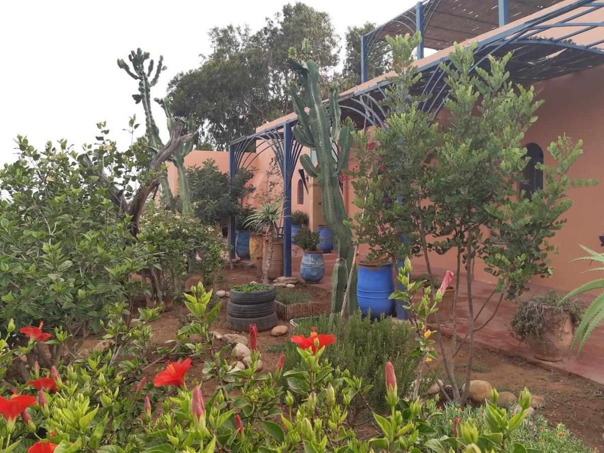 Riad Douar Des Oliviers El Arba Dış mekan fotoğraf